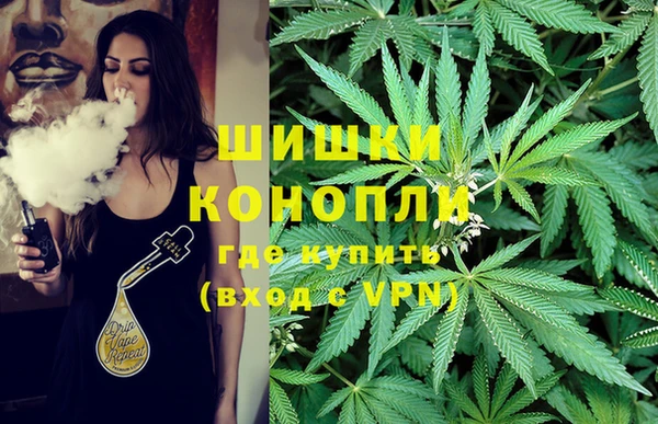 2c-b Алзамай