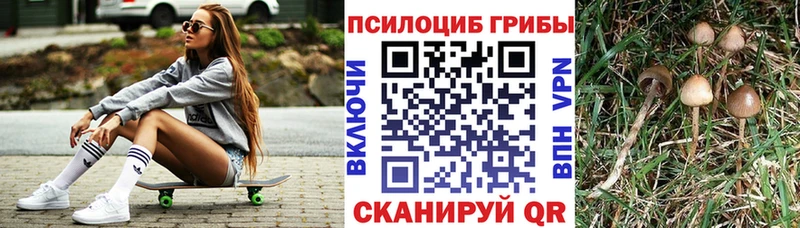 Псилоцибиновые грибы мицелий Алексеевка
